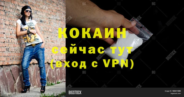 гашик Михайлов
