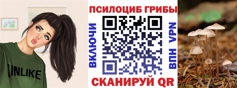 ссылка на мегу вход  Томск  Галлюциногенные грибы MAGIC MUSHROOMS 